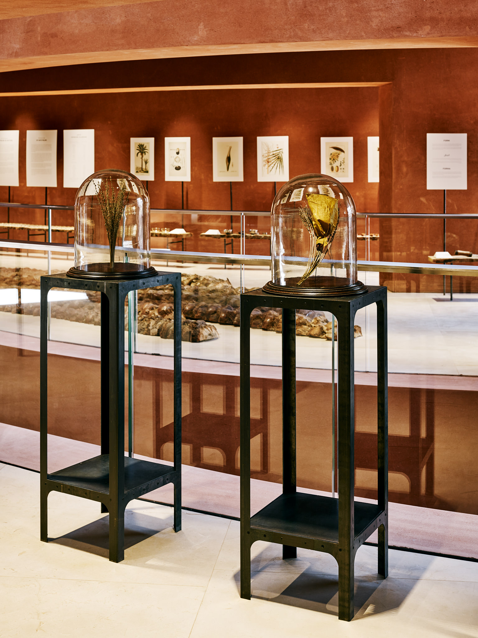 E15547 Alpa 050402 SCREEN